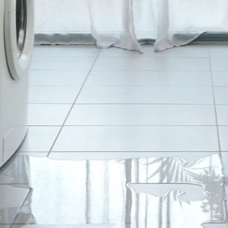 Appliance Leak Cleanup in China, TX