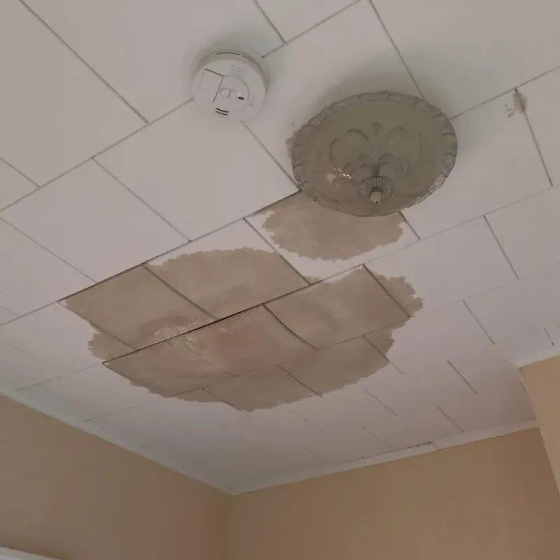 Ceiling Water Damage Repair in China, TX