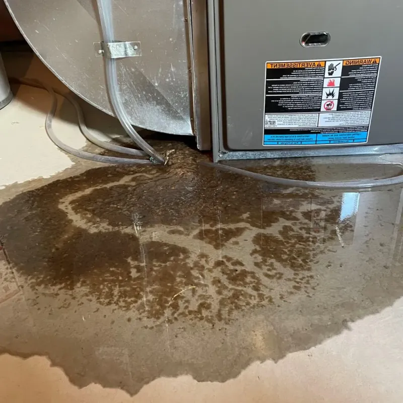 Pipe Burst and Leak Restoration in China, TX