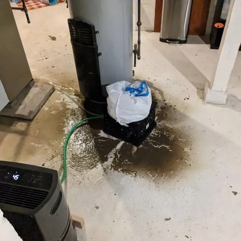 Sewage Backup Cleanup Service in China, TX